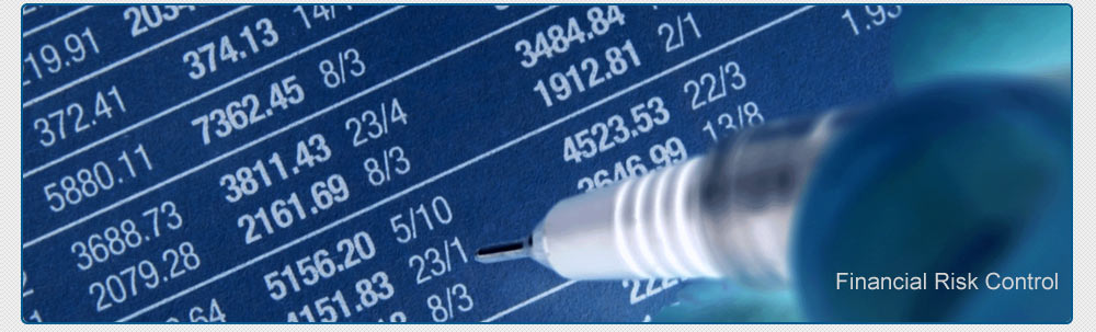 Financial Risk Control